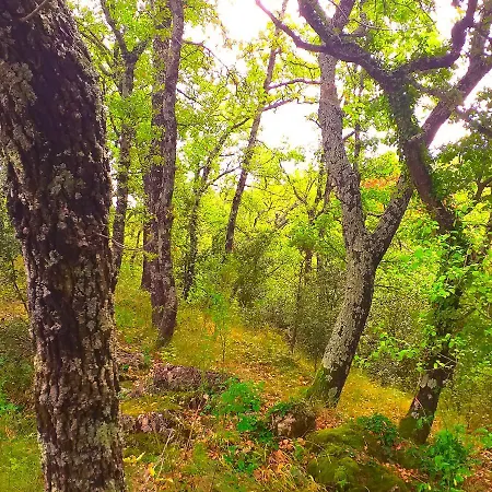 La Source Ardeche Chambres D'hotes Vendégház